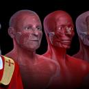 Saint Valentine - steps of facial reconstruction