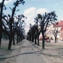 Аллея 2006 г. - panoramio