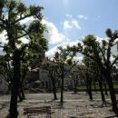 Przemysl - Market - panoramio - piotrgreat